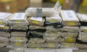 Gujarat: SMC seizes cocaine valued at over one crore on Navsari Highway