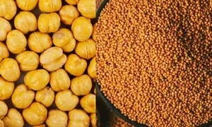 Gujarat govt to procure chickpeas & mustard at MSP