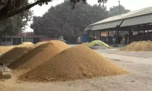 Bihar Sets Record in Paddy Procurement, Boosts Farmer Income Under CM Nitish Kumars Leadership