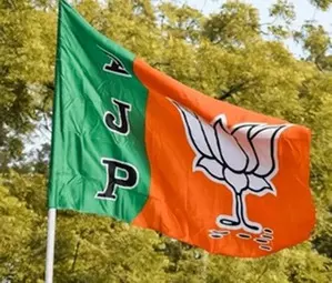 BJP sweeps Gujarat local body polls (Ld) BJP sweeps Gujarat local body polls (Ld)