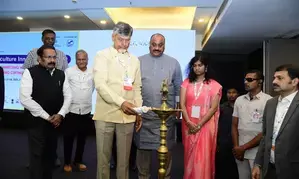 Andhra Pradesh CM calls for transforming aqua sector into a growth engine