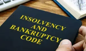 Experts highlight success of IBC in resolving distressed real estate projects