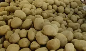 Potato growers in Haryana included in Bhavantar Bharpai Yojana