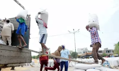 Resolve wheat supply crisis, Punjabs roller flour millers urge Centre