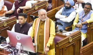 UP Budget 2025-26: Yogi govt allocates Rs 2,000cr for maintenance of stray cattle in state