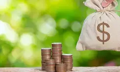 RBI Dy Governor red-flags excessive loans for risky capital market investments