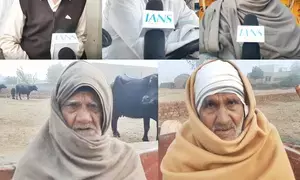 Direct payments and timely support: Rohtak farmers laud PM Kisan Samman Nidhi scheme