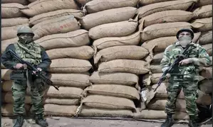 Ganja and other contrabands worth Rs 11 cr seized in Tripura, Mizoram; four held
