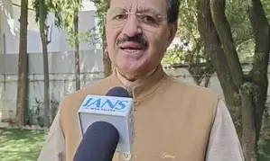 Not including experienced politicians in mainstream will harm Cong: Rashid Alvi on Tharoors remarks