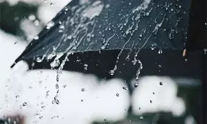 Light to moderate rain forecast in coastal TN, Puducherry, Karaikkal from Feb 25