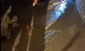 Telangana tunnel collapse: Rescue operation on, no sign of survivors yet (Lead)