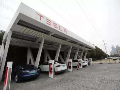 India job postings by Tesla shows renewed focus on countrys growing EV market India job postings by Tesla shows renewed focus on countrys growing EV market