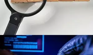 Berhampur University VC loses Rs 14 lakh in digital arrest fraud case