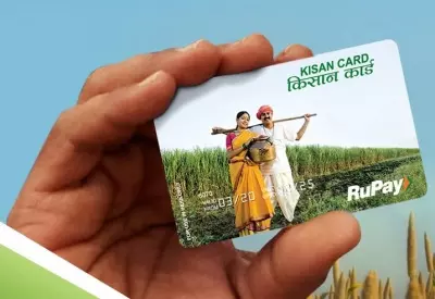 Kisan Credit Card amount crosses Rs 10 lakh crore, benefits 7.72 crore farmers Kisan Credit Card amount crosses Rs 10 lakh crore, benefits 7.72 crore farmers