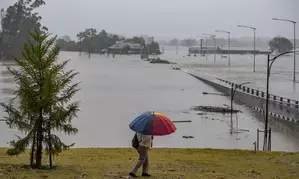 Death toll from tropical disease melioidosis in Australia rises to 12