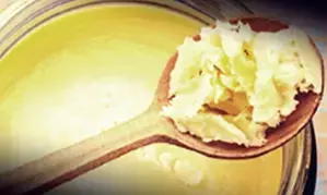 4,000 kg adulterated ghee valued at Rs 17.5 lakh seized in Gujarat