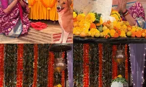 Rupali Ganguly shares her experience of performing a special puja on Maha Shivratri Rupali Ganguly shares her experience of performing a special puja on Maha Shivratri