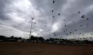 Heavy rain alert for TNs Delta districts, Collectors asked to take precautions