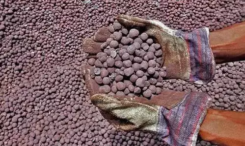 Production of key minerals records robust rise in April-January 24-25