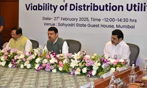 Pradhan Mantri Suryaghar Muft Bijalee Yojana: Maha govt achieves 100-day target in 82 days