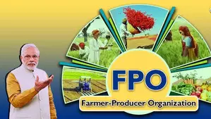 30 lakh farmers come on board Centres FPO scheme to boost earnings