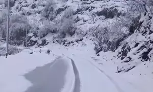 42 workers trapped in Uttarakhand avalanche, massive rescue operations underway