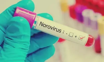 UK health authorities warn of potential second norovirus wave