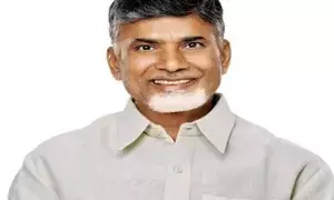 Andhra announces gratuity for ASHA workers, enhances retirement age