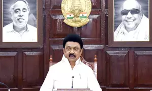 MK Stalin announces compensation of Rs 5 lakh for electrocution victim families