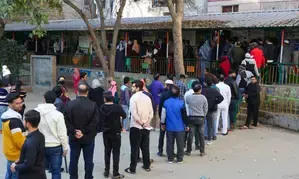 Haryana municipal elections 2025: Gurugram records highest voting at 31%, till 3 PM