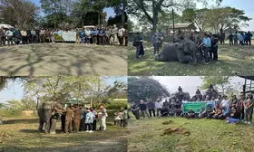International Elephant Health Care Workshop held in Kaziranga