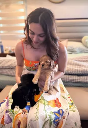 Kiara Advani radiates happiness while playing with puppies during pregnancy