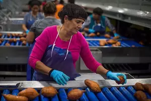 New Zealands higher meat export prices boost purchasing power on intl stage New Zealands higher meat export prices boost purchasing power on intl stage