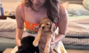 Kiara Advani radiates happiness while playing with puppies during pregnancy