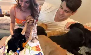 Kiara Advani captures a heartwarming moment of dad- to-be Sidharth Malhotra