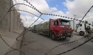 Turkiye condemns Israel for blocking aid into Gaza