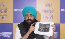 Punjab AAP MP accuses Congress of trying to halt anti-drug campaign