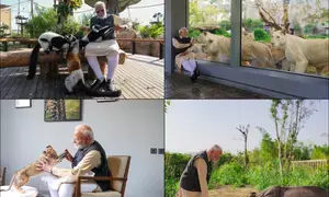 PM Modi’s love for animals goes back a long way, and they love him back