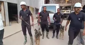 Cadaver dogs, robotic experts deployed for Telangana tunnel rescue operation Cadaver dogs, robotic experts deployed for Telangana tunnel rescue operation