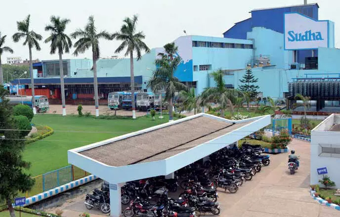 Bihar’s Sudha Brand Goes Global: Ghee, Makhana, and Gulab Jamun Set for Export to US and Canada