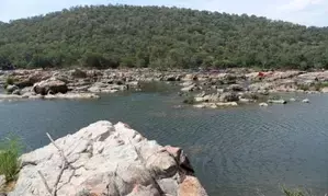 Preparatory work for Mekedatu project completed, implementation after clearance: Siddaramaiah