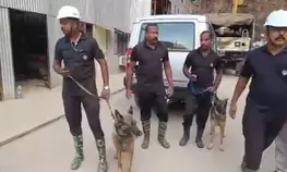 Cadaver dogs, robotic experts deployed for Telangana tunnel rescue operation