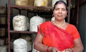 Bihars Anita Devi shares her inspiring journey on PM Modis social media