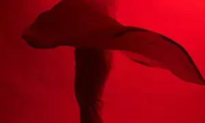 Sushmita on Women’s Day: Wish us all courage to live an authentic life, financial independence