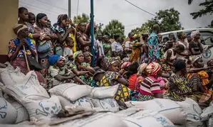 82.1 million people in East, Central Africa face food insecurity 82.1 million people in East, Central Africa face food insecurity