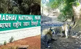 Always at forefront of protecting animals: PM Modi on opening of Indias 58th Tiger Reserve