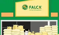 Agritech startup Falca’s loss triples to Rs 15 crore in FY24 as expenses surge over 30 pc