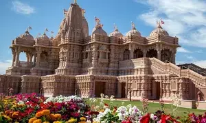Ensure adequate security to places of worship: India on Hindu temple vandalism in US