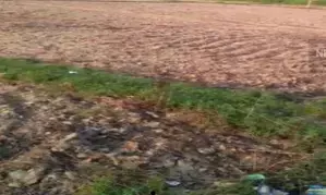 Bihar govt to crackdown on encroachment of Bettiah Raj properties