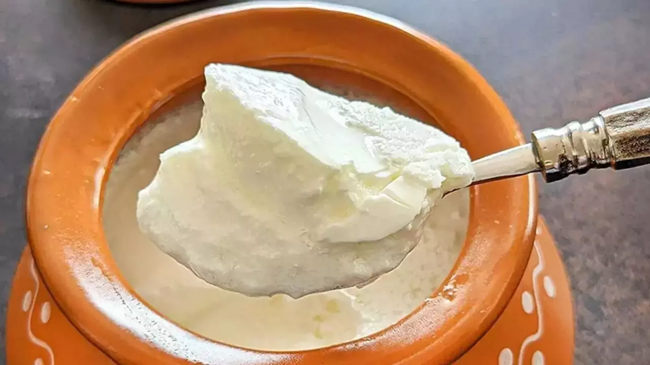 Wrong food combination: Do not consume these things with curd; it can harm your health Wrong food combination: Do not consume these things with curd; it can harm your health